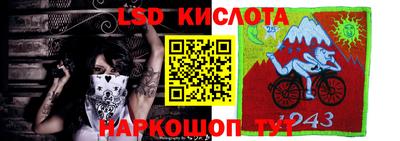 прущие грибы Краснодар