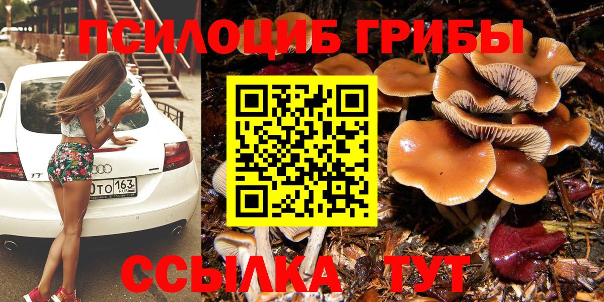 Псилоцибиновые грибы мицелий  Галлюциногенные грибы Psilocybine cubensis  Вход с VPN  Алапаевск 